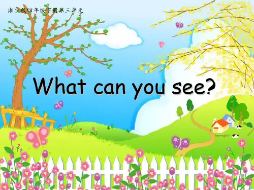 四年级英语下册课件-Unit 3 What can you see（18）-湘少版