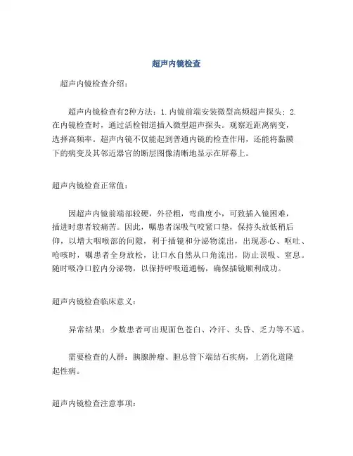 超声内镜检查