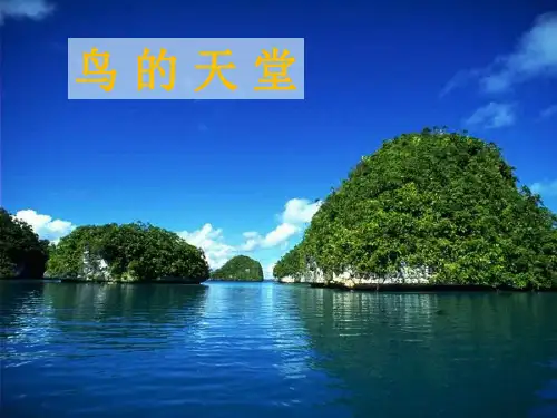 3《鸟的天堂》教学PPT课件