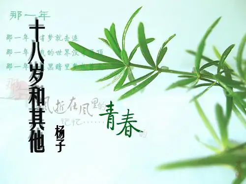 语文版中职语文职业模块服务类6《十八岁和其他》课件