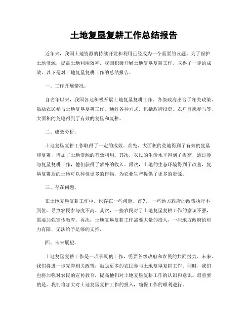 土地复垦复耕工作总结报告