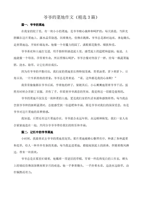 爷爷的菜地 作文(精选3篇)