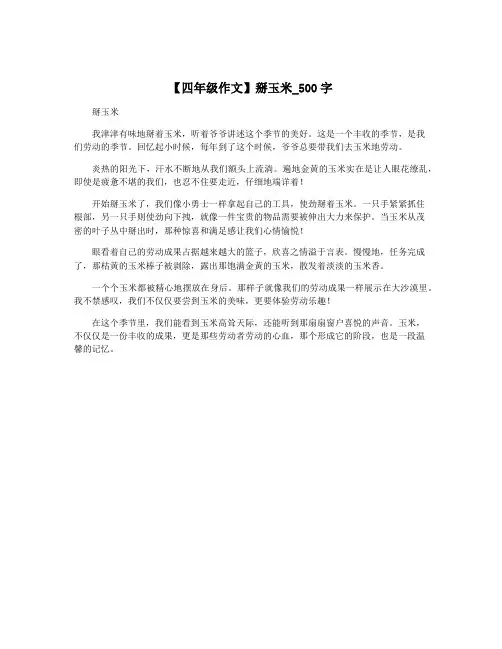 【四年级作文】掰玉米_500字
