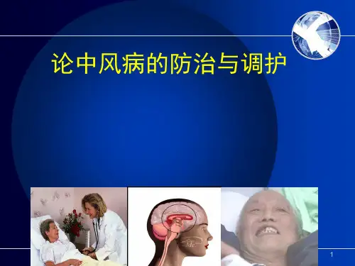 中风病的防治与调护ppt课件