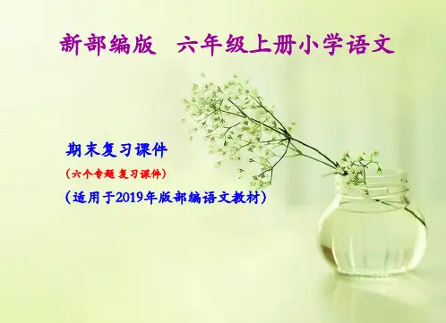 六年级上册语文期末复习课件(按专题分类复习)PPT