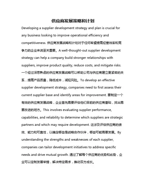 供应商发展策略和计划