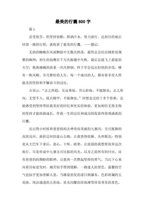最美的行囊800字