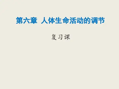 人教版七年级生物下册第六章人体生命活动的调节复习课件(29张PPT)