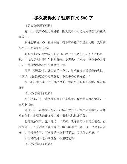 那次我得到了理解作文500字