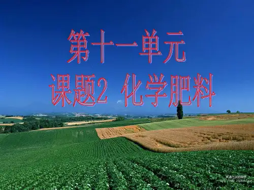 人教版九年级化学下册第十一单元课题2化学肥料详解
