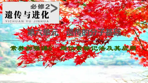 高考生物一轮复习 第6单元 遗传的分子基础 素养加强课6 同位素标记法及其应用课件 _00001