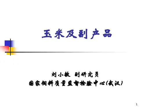 玉米及副产品质量控制ppt课件