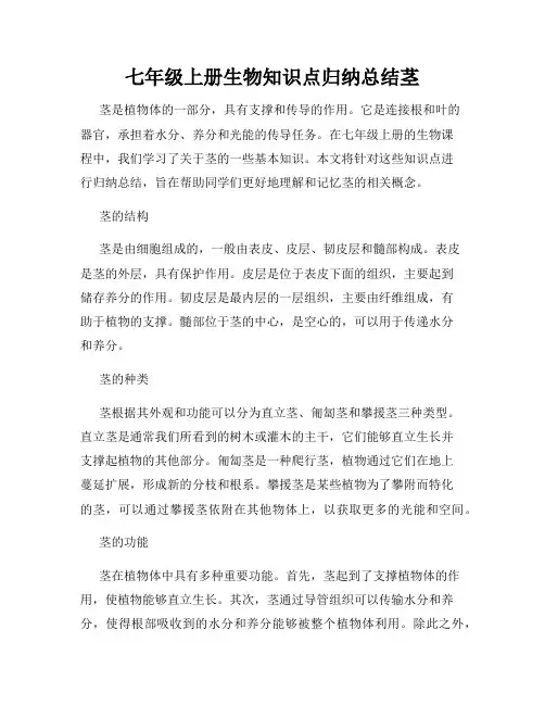 七年级上册生物知识点归纳总结茎