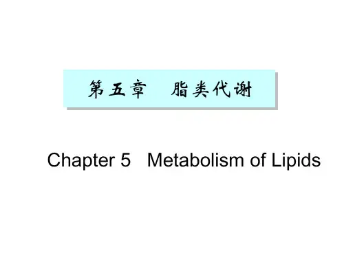 第八章脂类代谢_PPT幻灯片