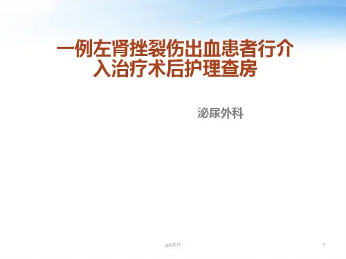 一例左肾挫裂伤出血患者行介入治疗术后护理查房  ppt课件