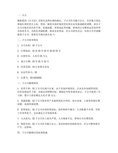 子公司撤销的申请报告书