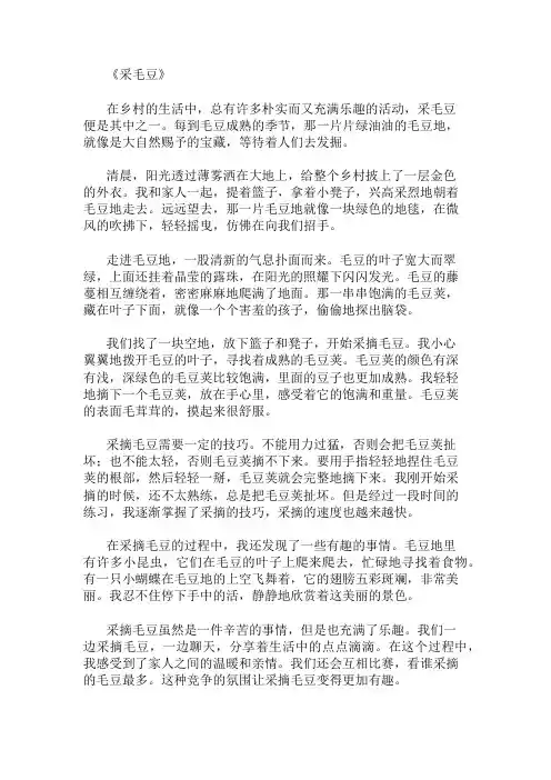 优秀精选：采毛豆精选作文