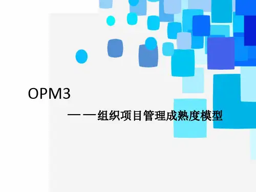 项目管理opm3模型