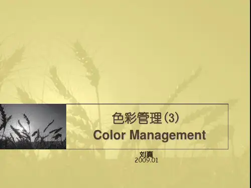 3.色彩转换技术