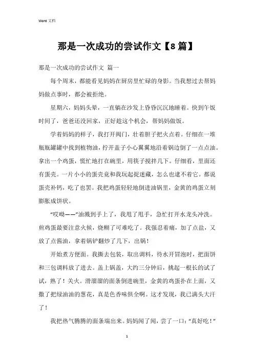 那是一次成功的尝试作文【8篇】