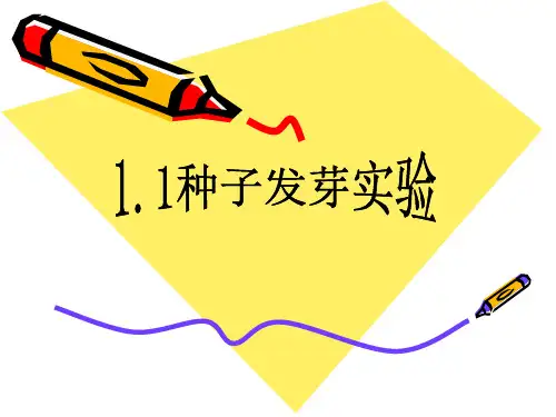 小学科学精品课件：《种子发芽实验》课件