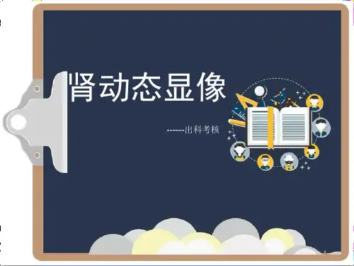 肾动态显像幻灯片课件