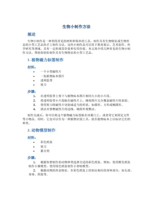 生物小制作方法