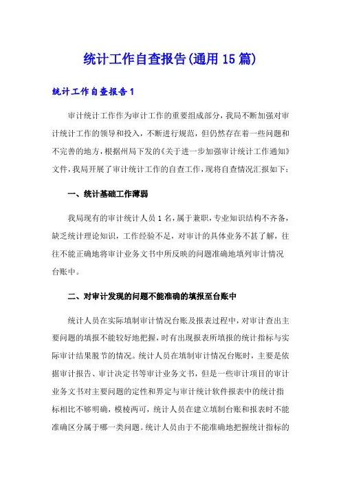 统计工作自查报告(通用15篇)