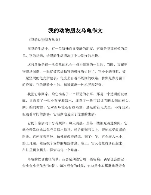 我的动物朋友乌龟作文