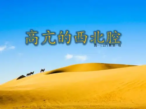 高亢的西北腔