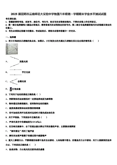 2025届昆明市云南师范大实验中学物理八年级第一学期期末学业水平测试试题含解析