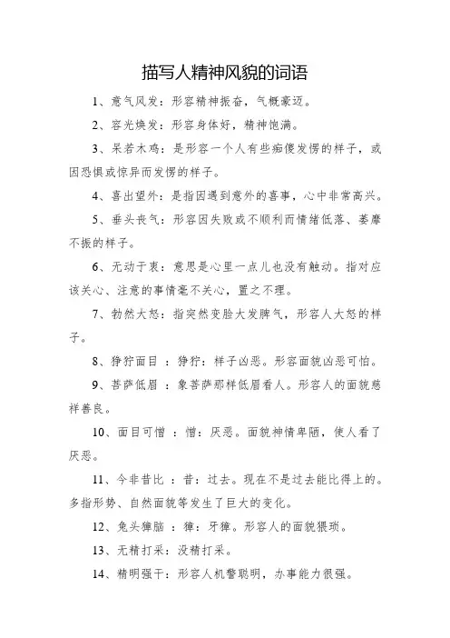 描写人精神风貌的词语