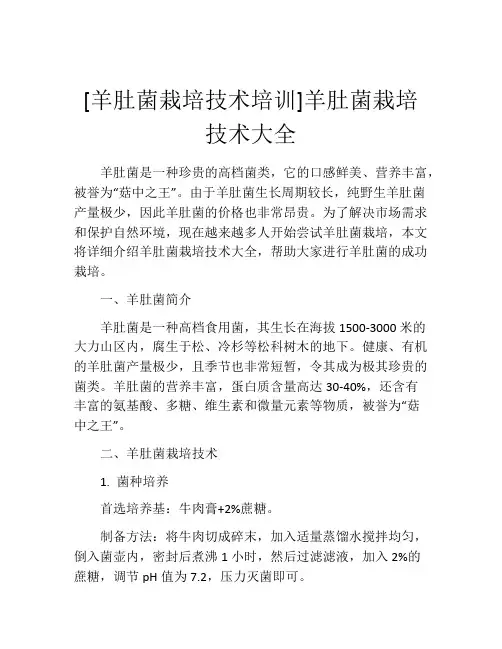[羊肚菌栽培技术培训]羊肚菌栽培技术大全