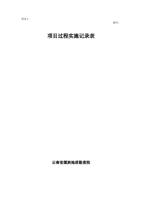 项目实施过程用记录表格