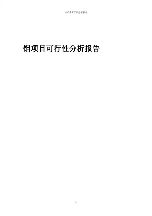 2024年钼项目可行性分析报告