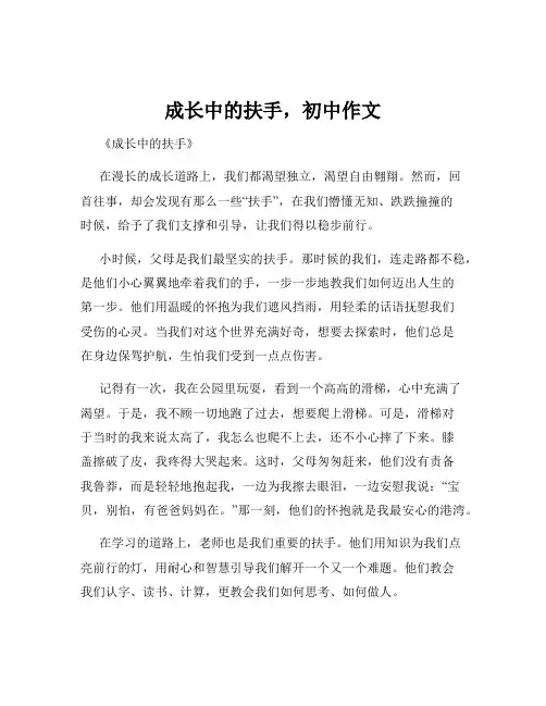 成长中的扶手,初中作文