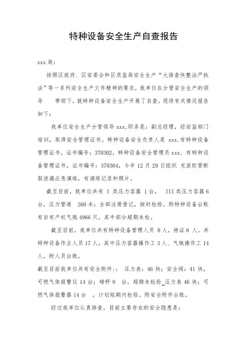 特种设备安全生产自查报告