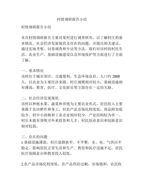村情调研报告小结