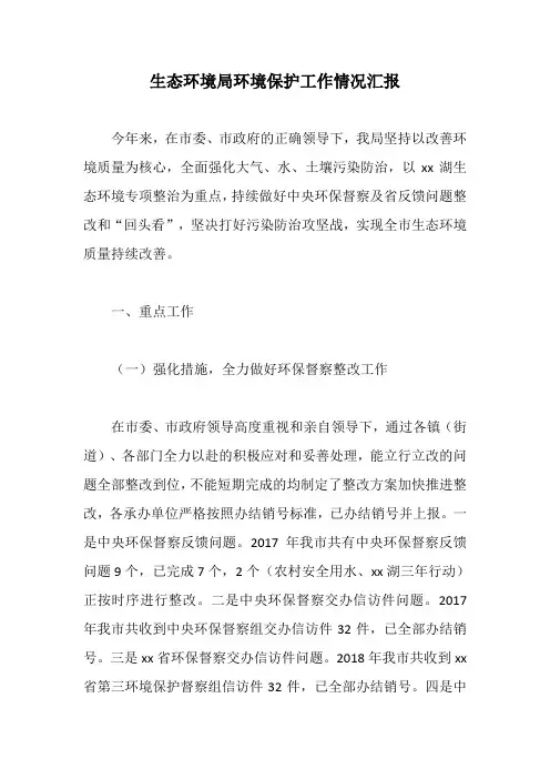 生态环境局环境保护工作情况汇报
