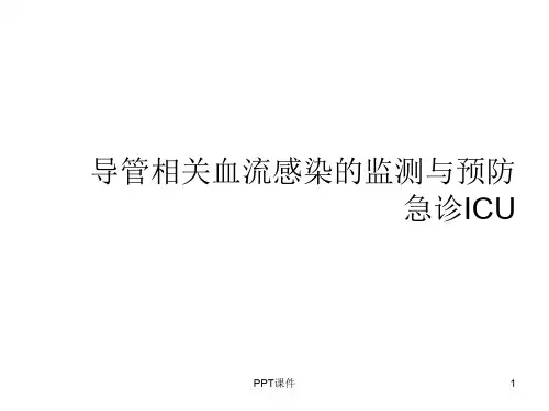 导管相关血流感染的护理  ppt课件