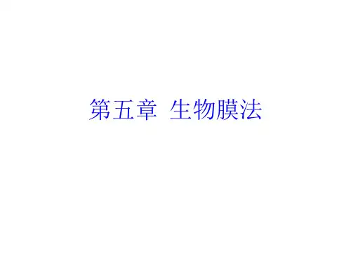 生物膜法_精品文档