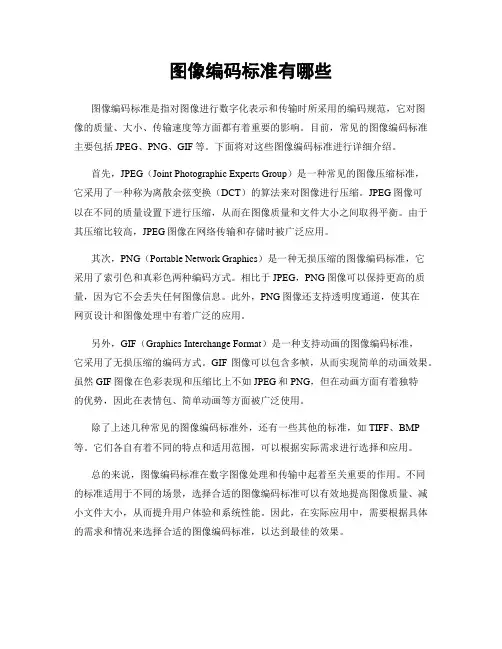 图像编码标准有哪些