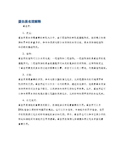 蛋白质名词解释