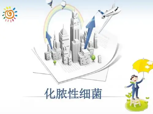 化脓性细菌ppt课件