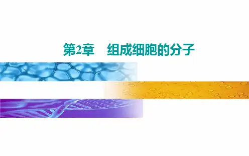 新教材《细胞中的无机物》ppt课件人教版1