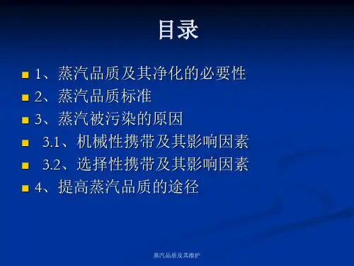 锅炉 蒸汽品质的维护.