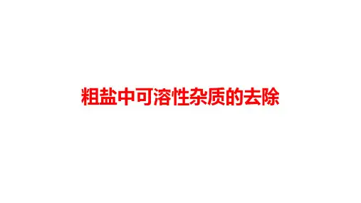 2024年中考化学专题复习难点突破----粗盐中可溶性杂质的去除课件