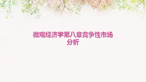 微观经济学第八章竞争性市场分析