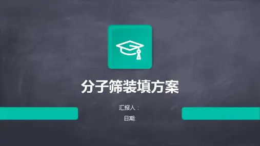 分子筛装填方案