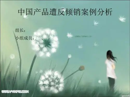 中国产品遭反倾销